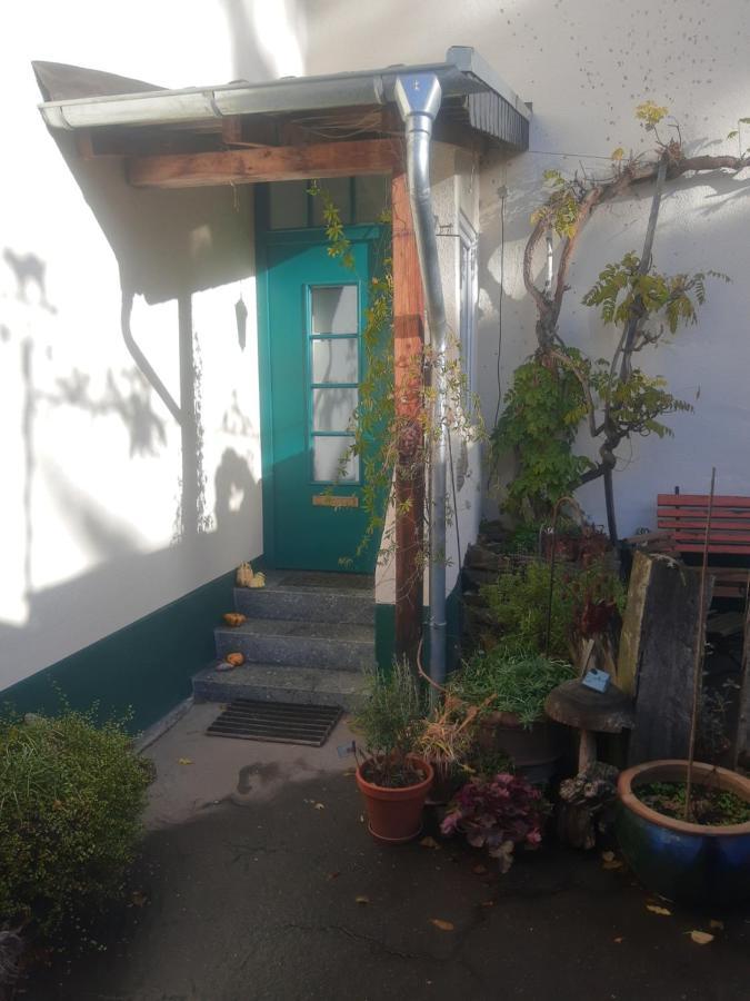 Gartenzimmer Mit Strassenbahn Zu Dom Und Messe ケルン エクステリア 写真
