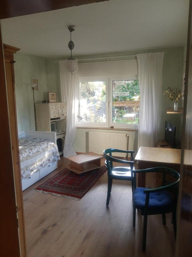 Gartenzimmer Mit Strassenbahn Zu Dom Und Messe ケルン エクステリア 写真